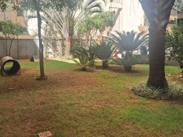 Apartamento para Locação em Belo Horizonte/MG Centro 1 Quartos