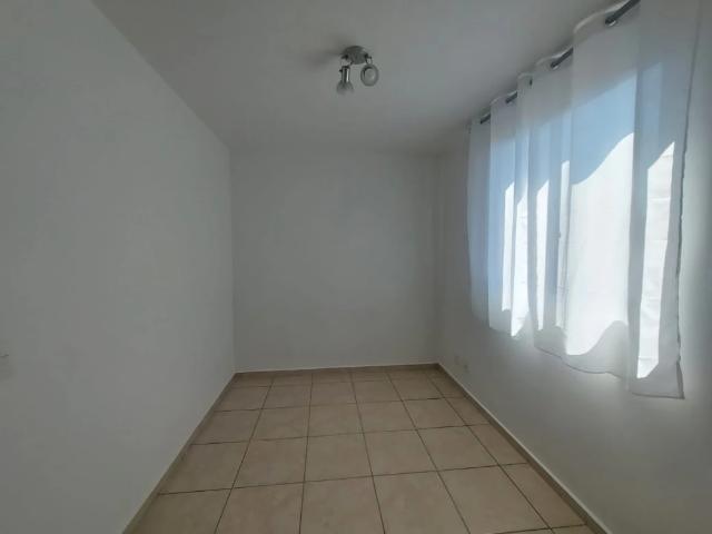 Apartamento para Locação em Belo Horizonte/MG Padre Eustáquio 3 Quartos