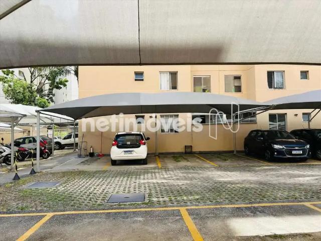 Apartamento para Locação em Belo Horizonte/MG Planalto 2 Quartos