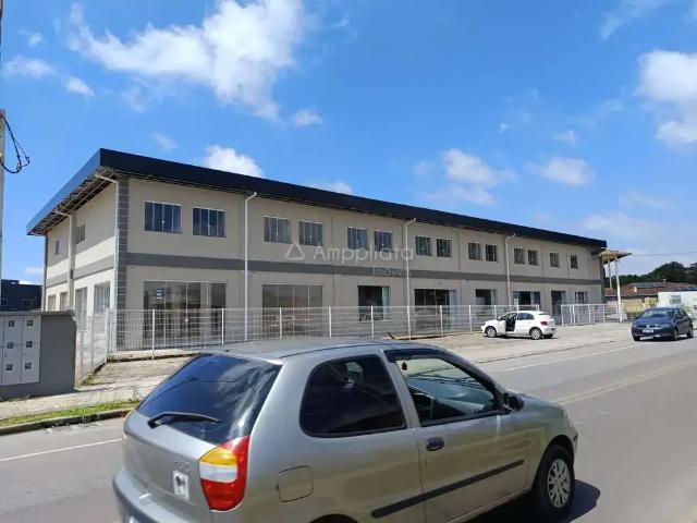 Apartamento para Locação em Campina Grande do Sul/PR Jardim Paulista 2 Quartos