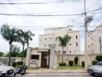 Apartamento para Locação em Campinas/SP Vila Industrial 2 Quartos
