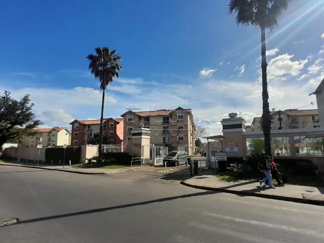 Apartamento para Locação em Canoas/RS Mato Grande 3 Quartos