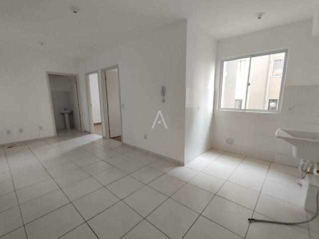 Apartamento para locação em Cascavel
