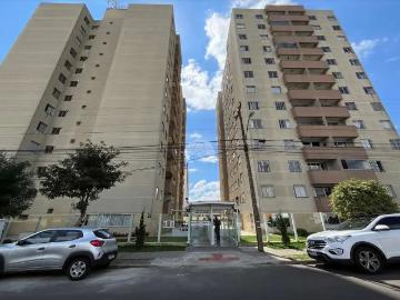 Novo Mundo, Curitiba, Curitiba, Balneário Piçarras