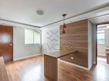 Bairro Alto, Pinhais, Balneário Piçarras