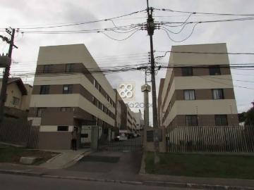 Alto Boqueirão, Curitiba, Balneário Piçarras