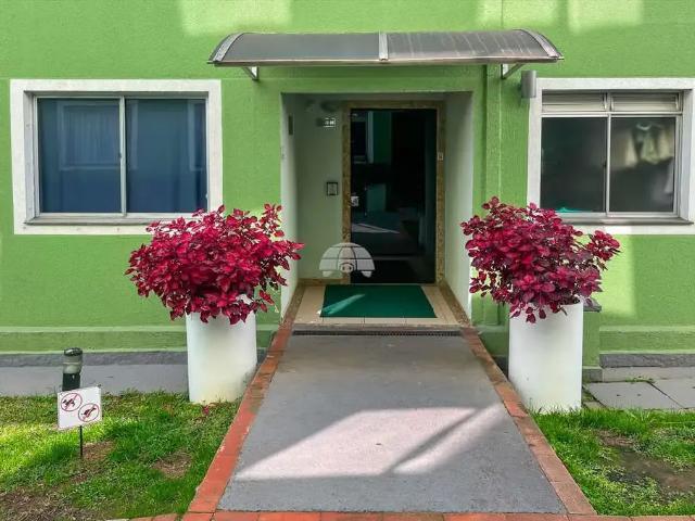 Apartamento para Locação em Curitiba/PR Pinheirinho 2 Quartos
