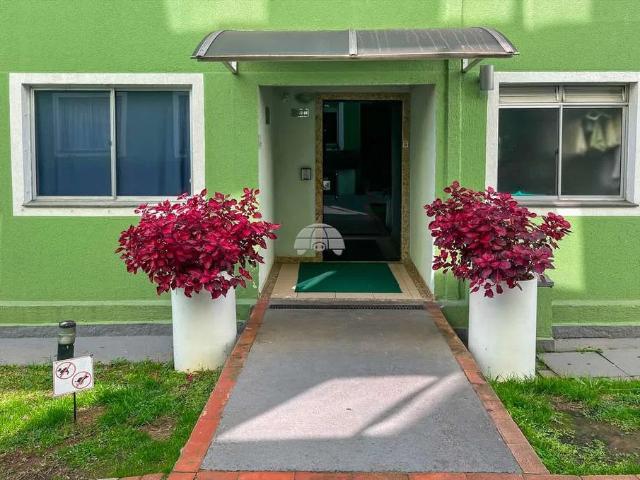 Apartamento para Locação em Curitiba/PR Pinheirinho 2 Quartos
