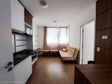 Rebouças, Curitiba, Balneário Piçarras