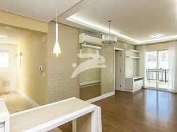 Vila Izabel, Curitiba, Balneário Piçarras