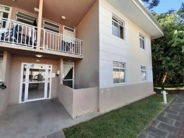 Apartamento para Locação em Fazenda Rio Grande/PR Santa Terezinha 2 Quartos