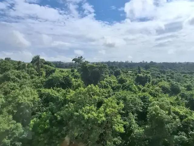 Apartamento para Locação em Indaiatuba/SP Vila Homero 2 Quartos