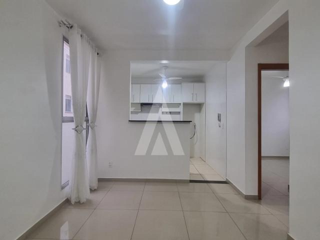 Apartamento para Locação em Joinville/SC Floresta 2 Quartos