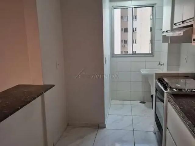 Apartamento para Locação em Londrina/PR Gleba Palhano 3 Quartos
