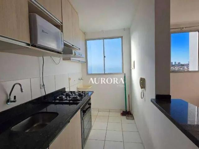 Apartamento para Locação em Londrina/PR Gleba Palhano 2 Quartos