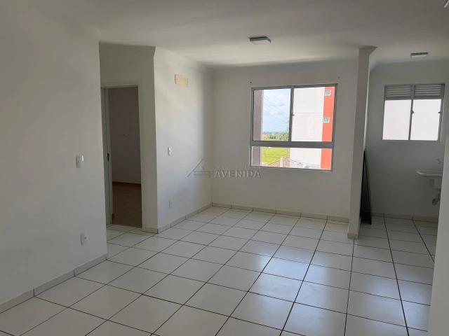 Apartamento para Locação em Londrina/PR Jardim Maria Celina 2 Quartos