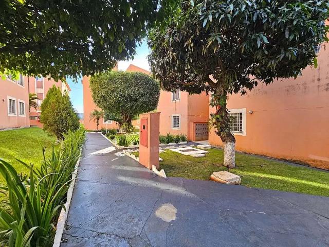 Apartamento para Locação em Londrina/PR João Paz 3 Quartos