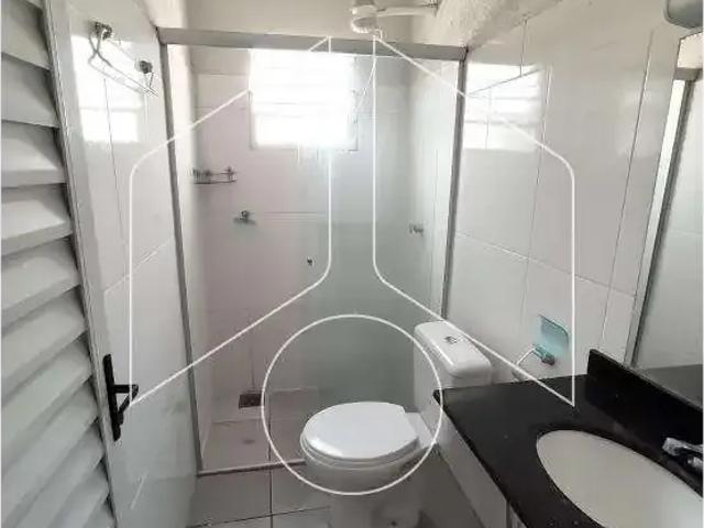 Apartamento para Locação em Marília/SP Alto Cafezal 1 Quartos