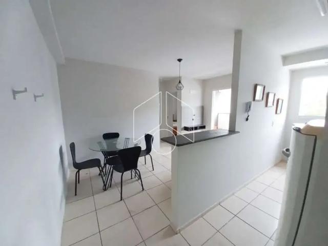 Apartamento para Locação em Marília/SP Alto Cafezal 2 Quartos