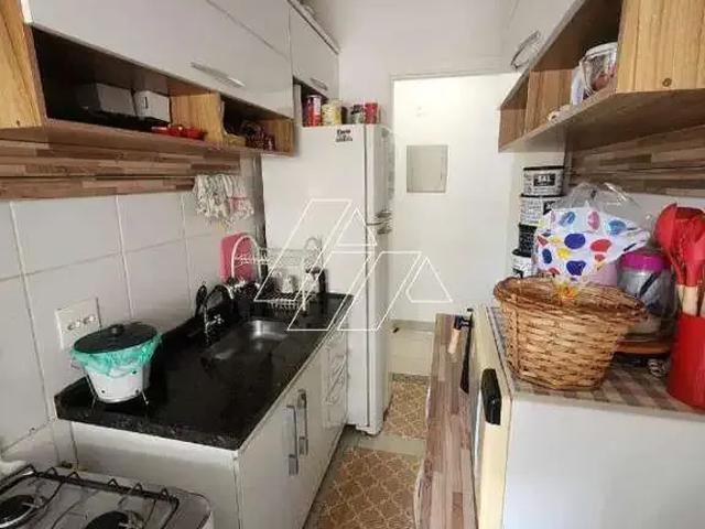Apartamento para Locação em Marília/SP Jardim Alvorada 2 Quartos