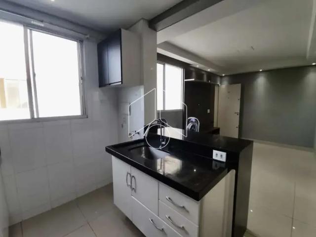 Apartamento para Locação em Marília/SP Jardim Califórnia 2 Quartos