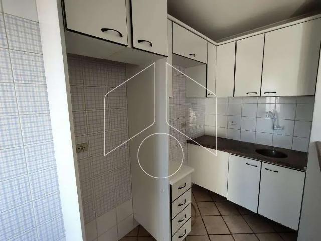 Apartamento para Locação em Marília/SP Marília 1 Quartos