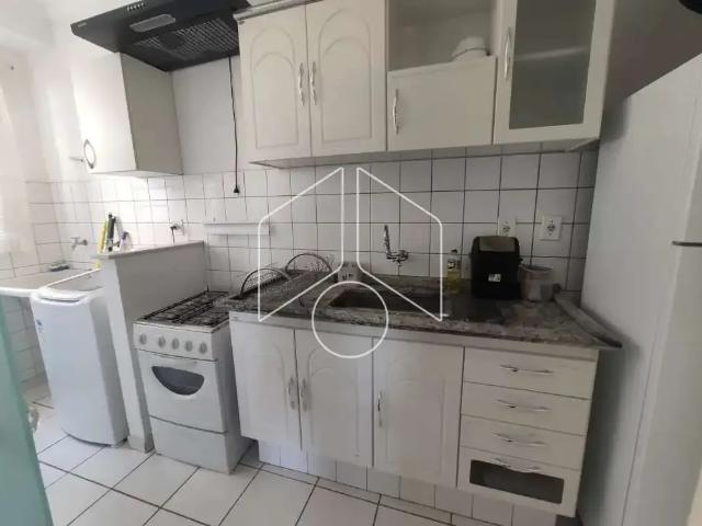 Apartamento para Locação em Marília/SP Vila Operária Alimentação I 2 Quartos