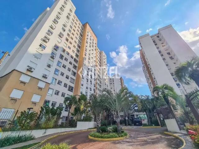 Apartamento para Locação em Novo Hamburgo/RS Jardim Mauá 3 Quartos