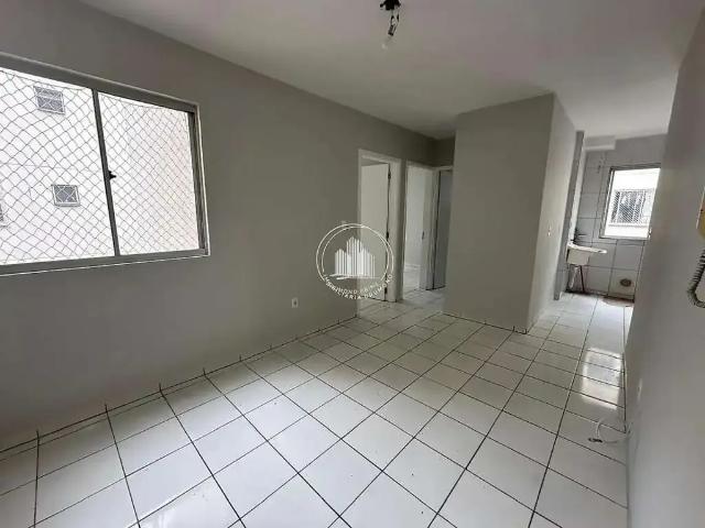 Apartamento para Locação em Palhoça/SC Guarda do Cubatão 2 Quartos