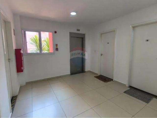 Apartamento para Locação em Paulínia/SP João Aranha 2 Quartos