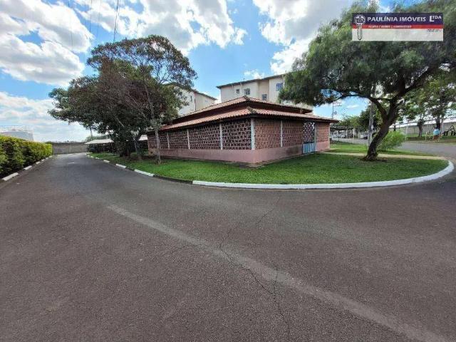 Apartamento para Locação em Paulínia/SP João Aranha 2 Quartos
