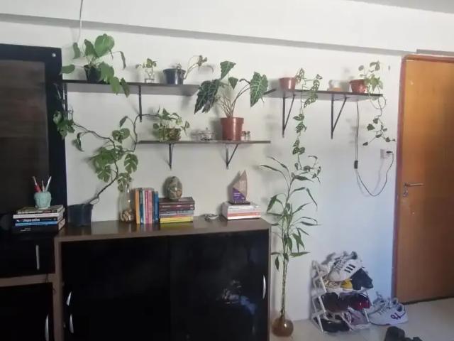Apartamento para Locação em Recife/PE Espinheiro 1 Quartos