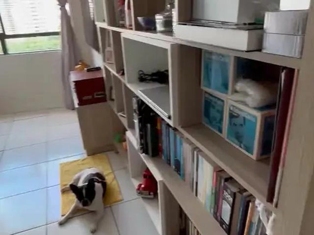 Apartamento para Locação em Recife/PE Madalena 2 Quartos