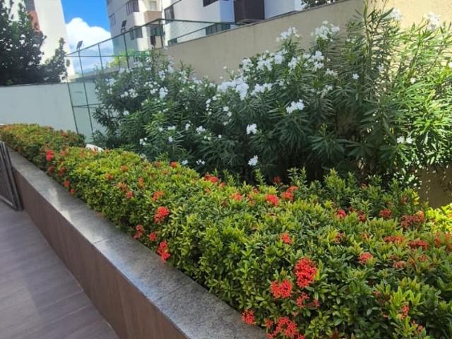 Apartamento para Locação em Recife/PE Pina 3 Quartos