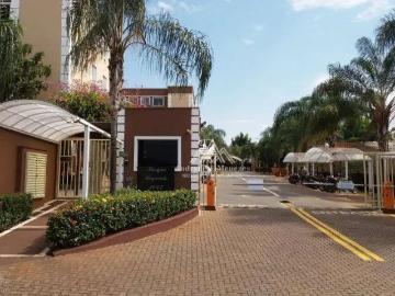 Apartamento para Locação em Ribeirão Preto/SP Ipiranga 2 Quartos