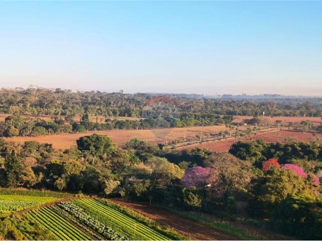 Apartamento para Locação em Ribeirão Preto/SP Vila do Golf 2 Quartos
