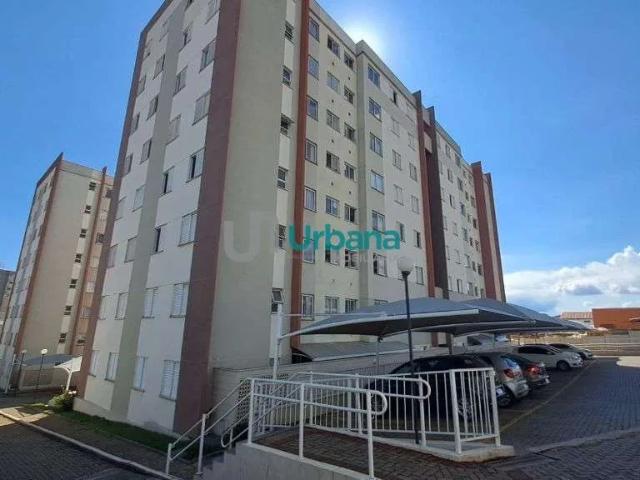 Apartamento para Locação em São Carlos/SP Recreio São Judas Tadeu 2 Quartos