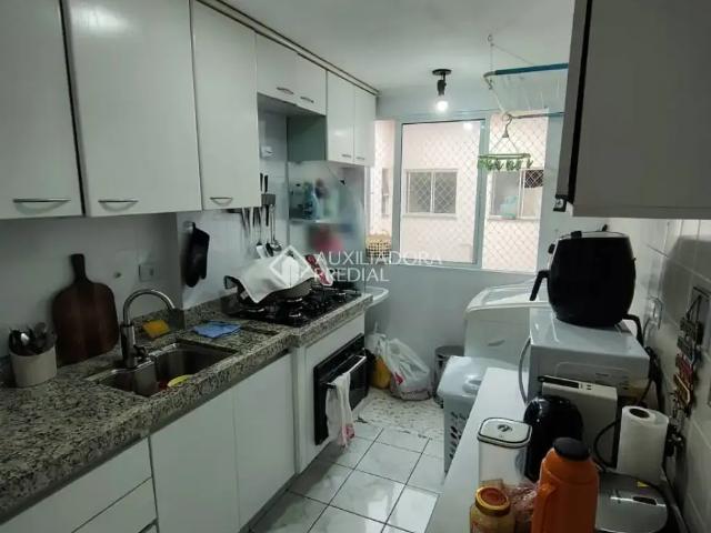 Apartamento para Locação em São Bernardo do Campo/SP Demarchi 3 Quartos