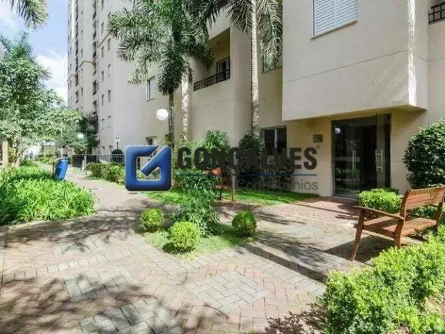 Apartamento para Locação em São Bernardo do Campo/SP Nova Petrópolis 2 Quartos