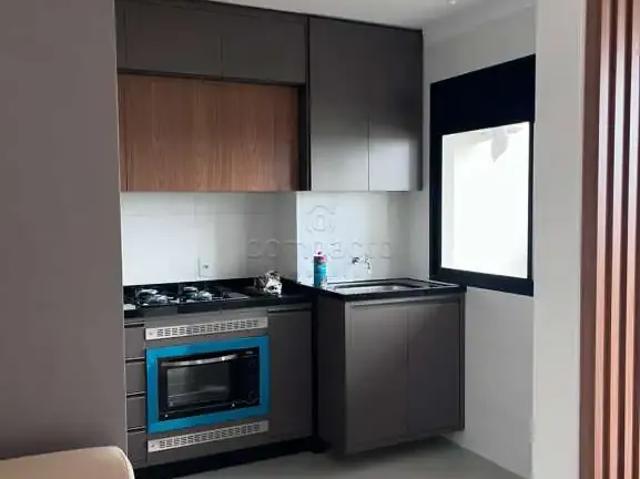 Apartamento para Locação em São José do Rio Preto/SP Universitário 3 Quartos