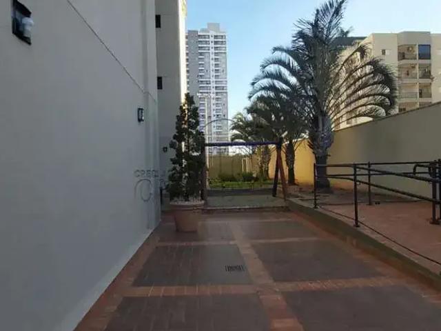 Apartamento para Locação em São José do Rio Preto/SP Vila Nossa Senhora do Bonfim 2 Quartos