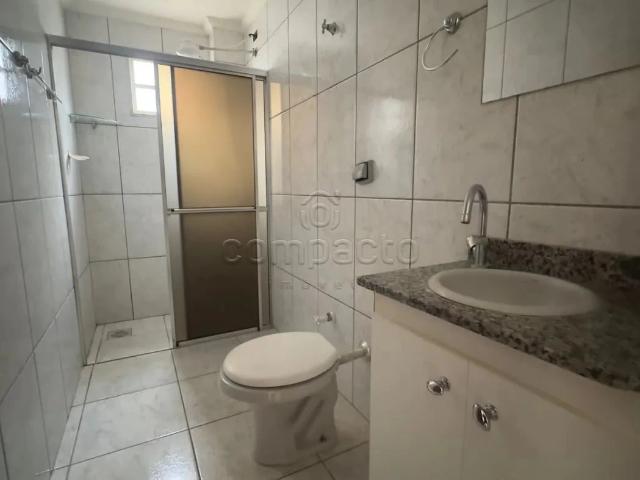 Apartamento para Locação em São José do Rio Preto/SP Cidade Nova 1 Quartos
