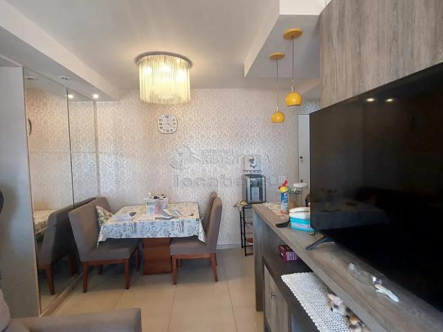 Apartamento para Locação em São José do Rio Preto/SP Jardim Santa Rosa I 2 Quartos