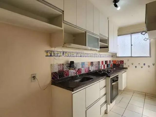 Apartamento para Locação em São José do Rio Preto/SP Residencial Macedo Teles I 2 Quartos