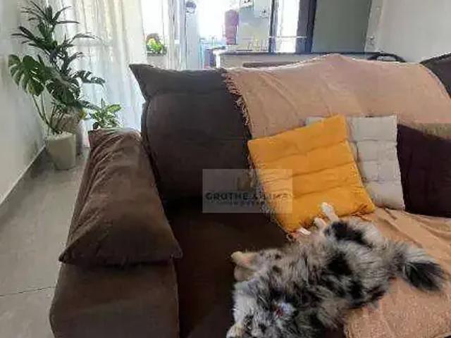 Apartamento para Locação em São José dos Campos/SP Jardim Satélite 2 Quartos