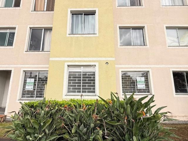 Apartamento para Locação em São José dos Pinhais/PR Cidade Jardim 1 Quartos