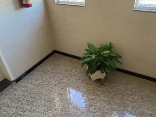 Apartamento para Locação em São José dos Pinhais/PR Costeira 2 Quartos