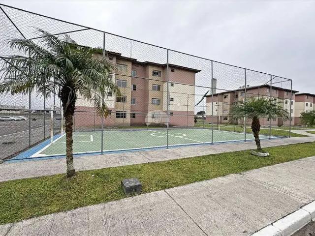 Apartamento para Locação em São José dos Pinhais/PR Ipê 2 Quartos