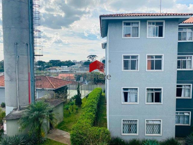 Apartamento para Locação em São José dos Pinhais/PR Pedro Moro 3 Quartos