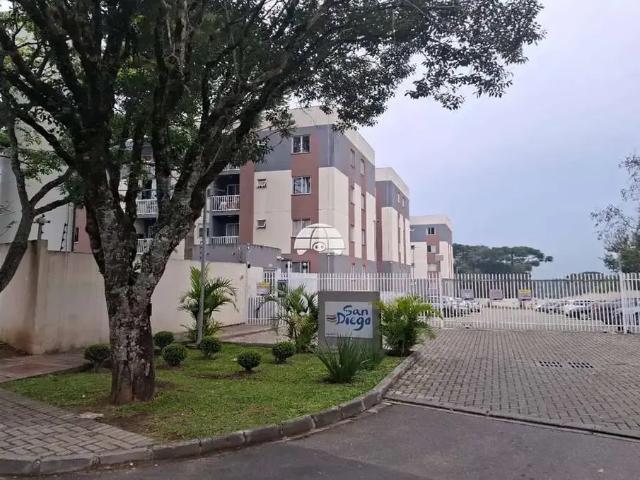 Apartamento para Locação em São José dos Pinhais/PR Zaniolo 2 Quartos